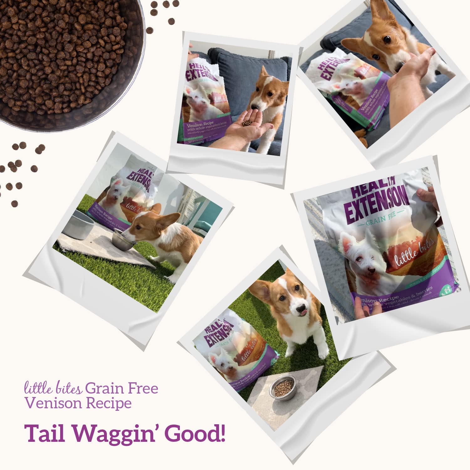 Health Extension Grain Free Venison & Sweet Potato Recipe Little Bites (3.5 lb / 1.59 kg) - Lean Protein Formula for Dogs with P