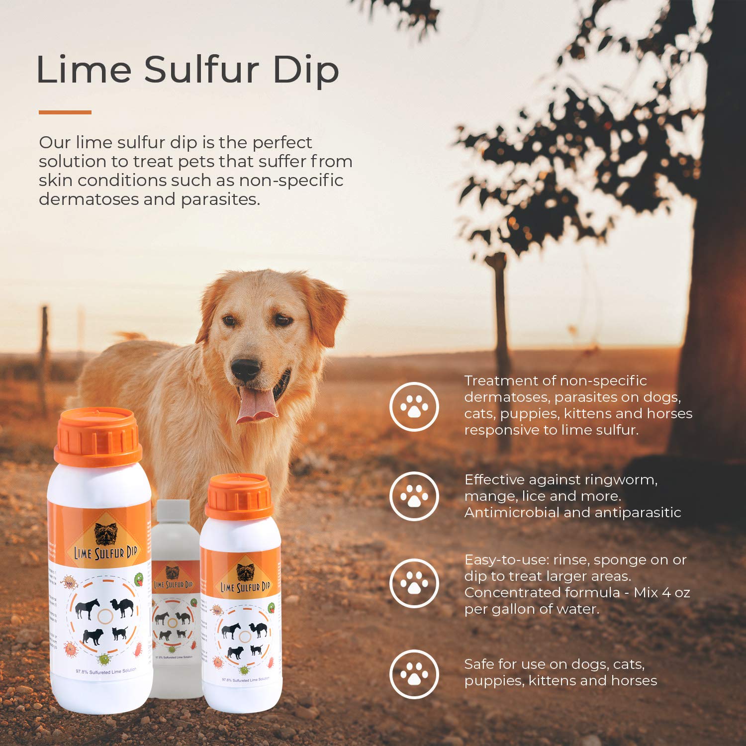 Classics Lime Sulfur Dip - Pet Care for Itchy and Dry Skin - Xtra Strength Formula - Safe Solution for Dog, Cat, Puppy, Kitten,