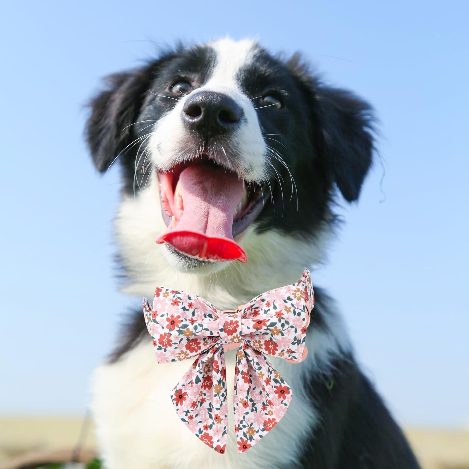 Dog Collar With Bow Tie,Up Urara Pup Flower Bowtie Dog Collar, Summer Bowtie Collar For Puppy Boy Girl Dog, Comfortable Cotton D