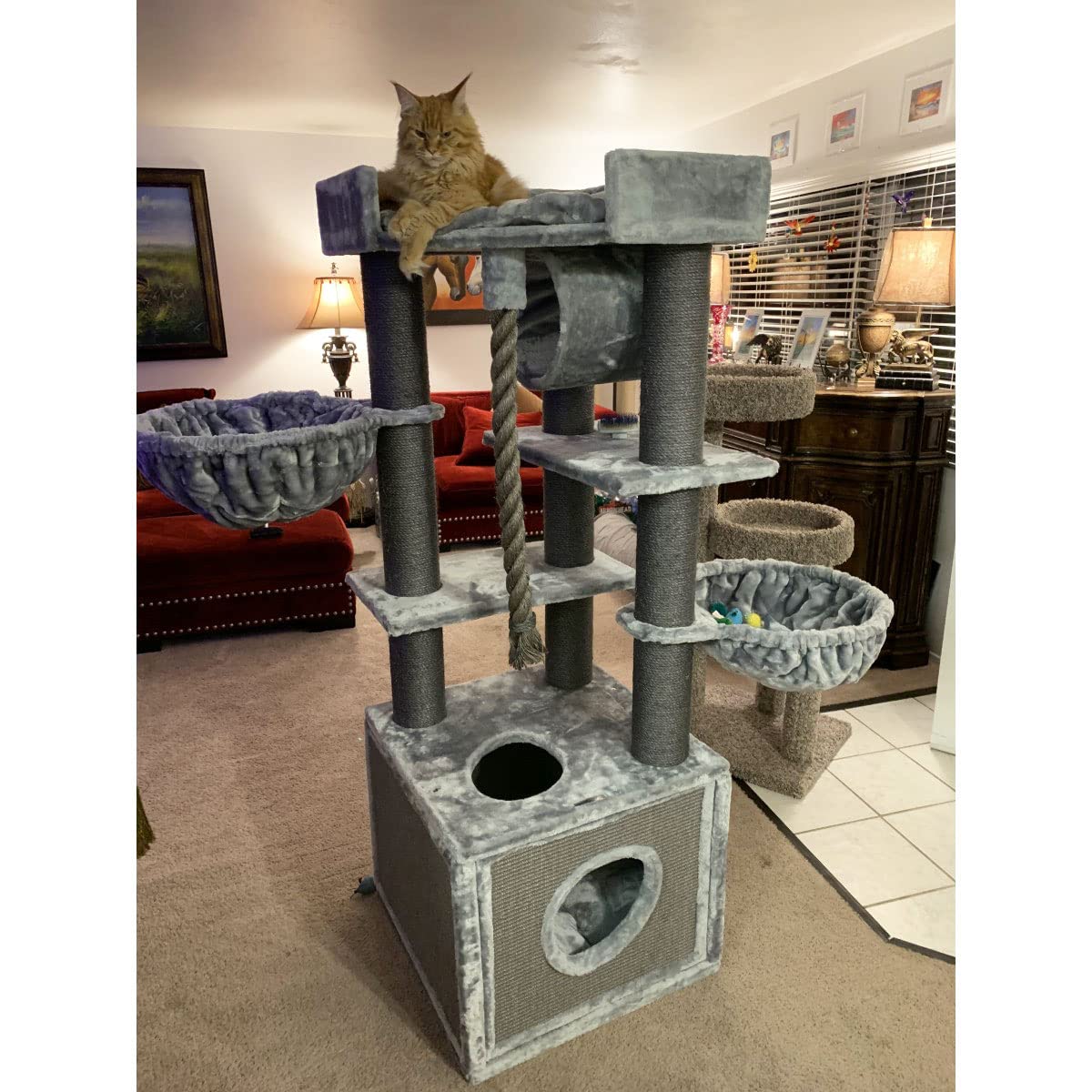 CozyCatFurniture Heavy Duty Cat Tree for Big Cats, 65" Gray Cat Tower with Two Hammocks and Huge Condo