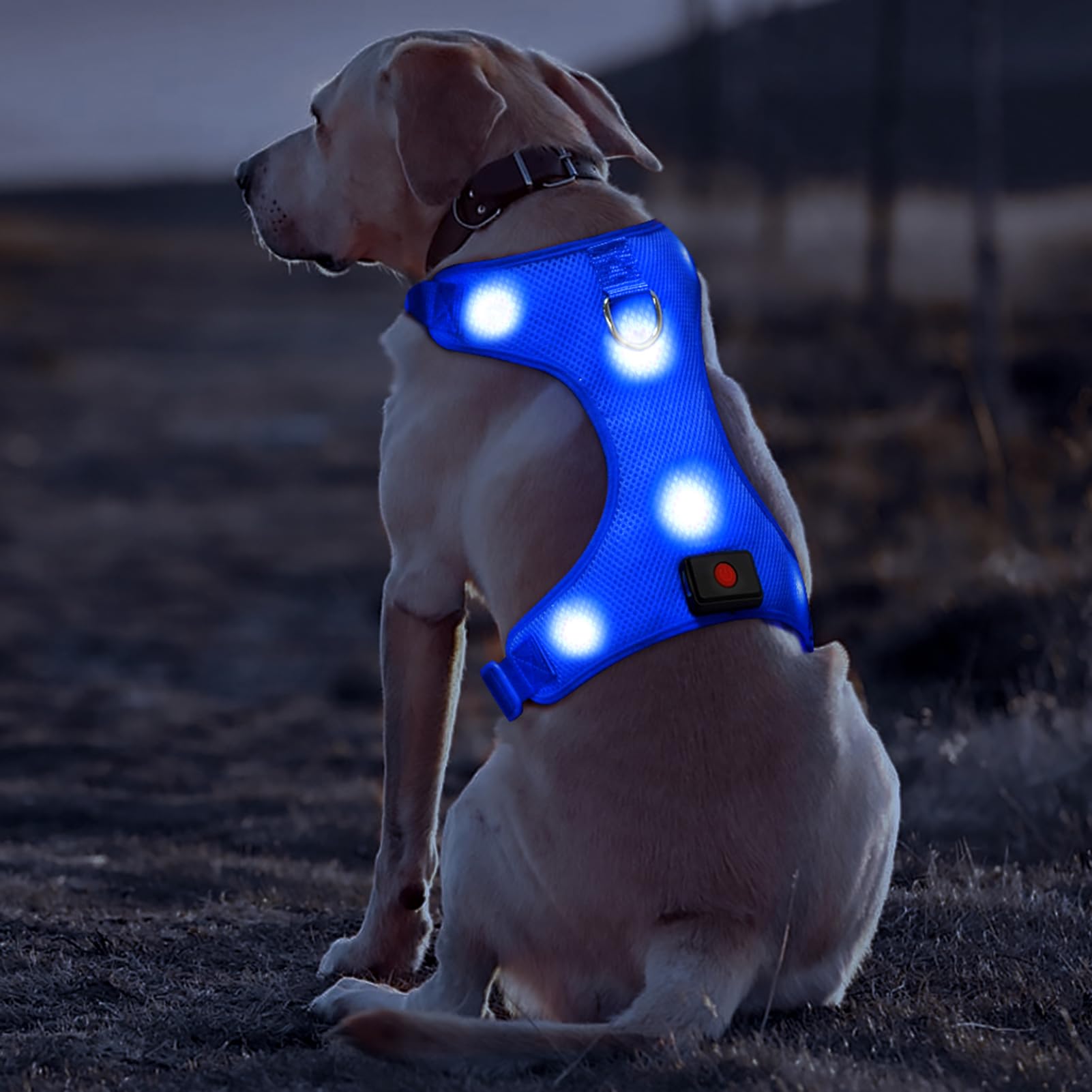 DOMIGLOW LED Dog Harness - No-Pull Light Up Dog Harness - Rechargeable Glowing Pet Vest for Night Walking & Camping (Blue, Small