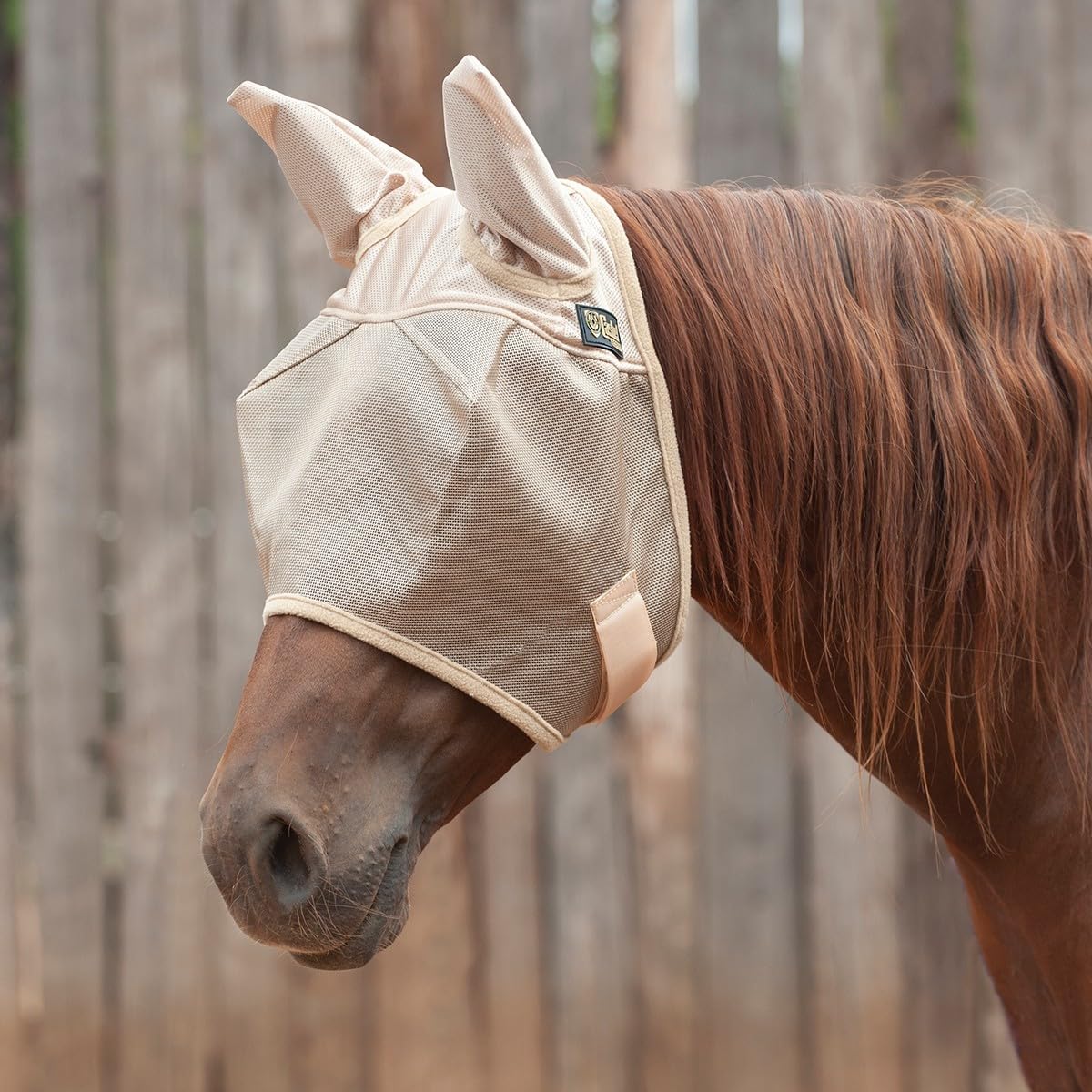 Cashel Economy Horse Fly Mask with Ears, Gold, Warmblood