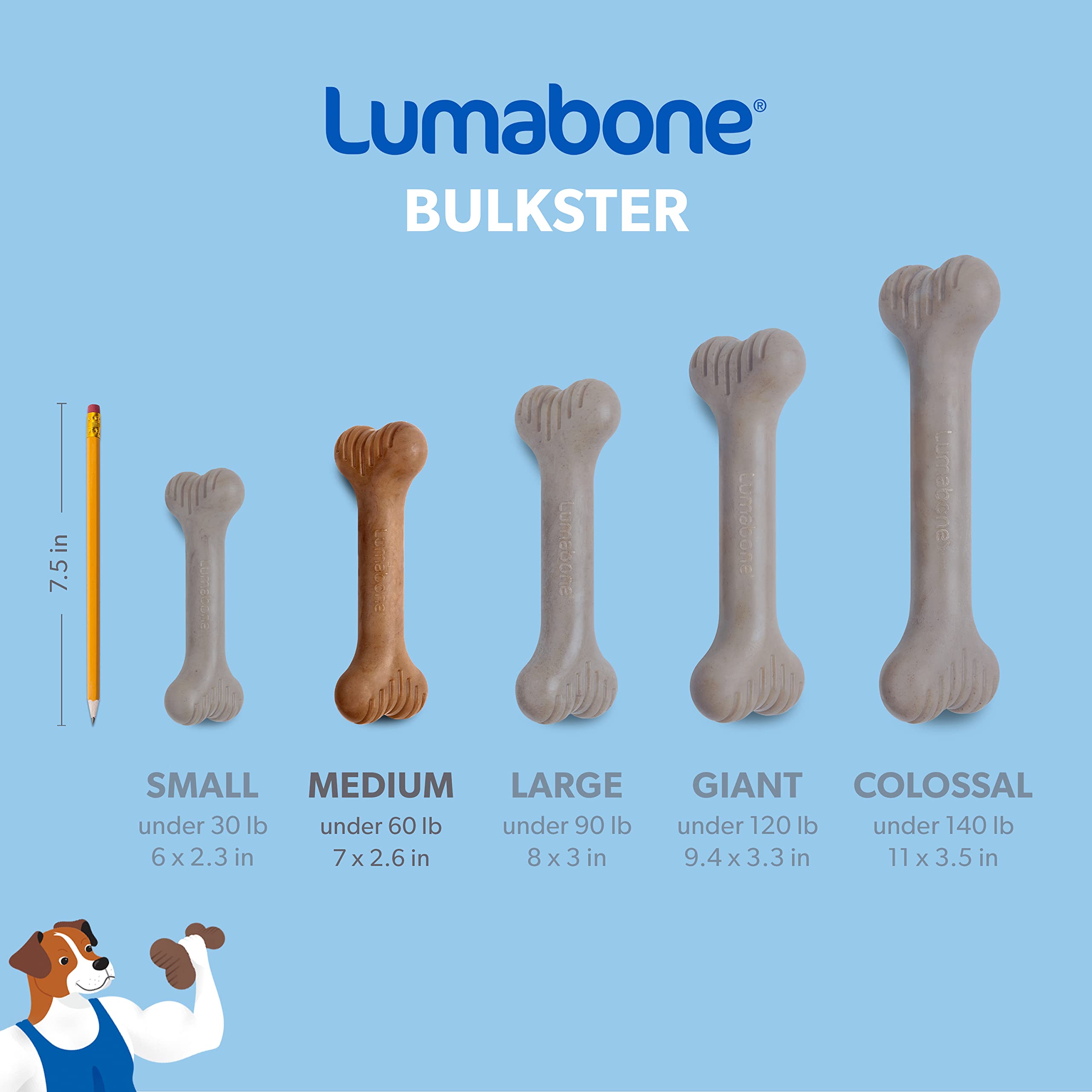 Lumabone Bulkster Durable Chew Toy For Aggressive Chewers, Real Beef, Made In Usa, Medium