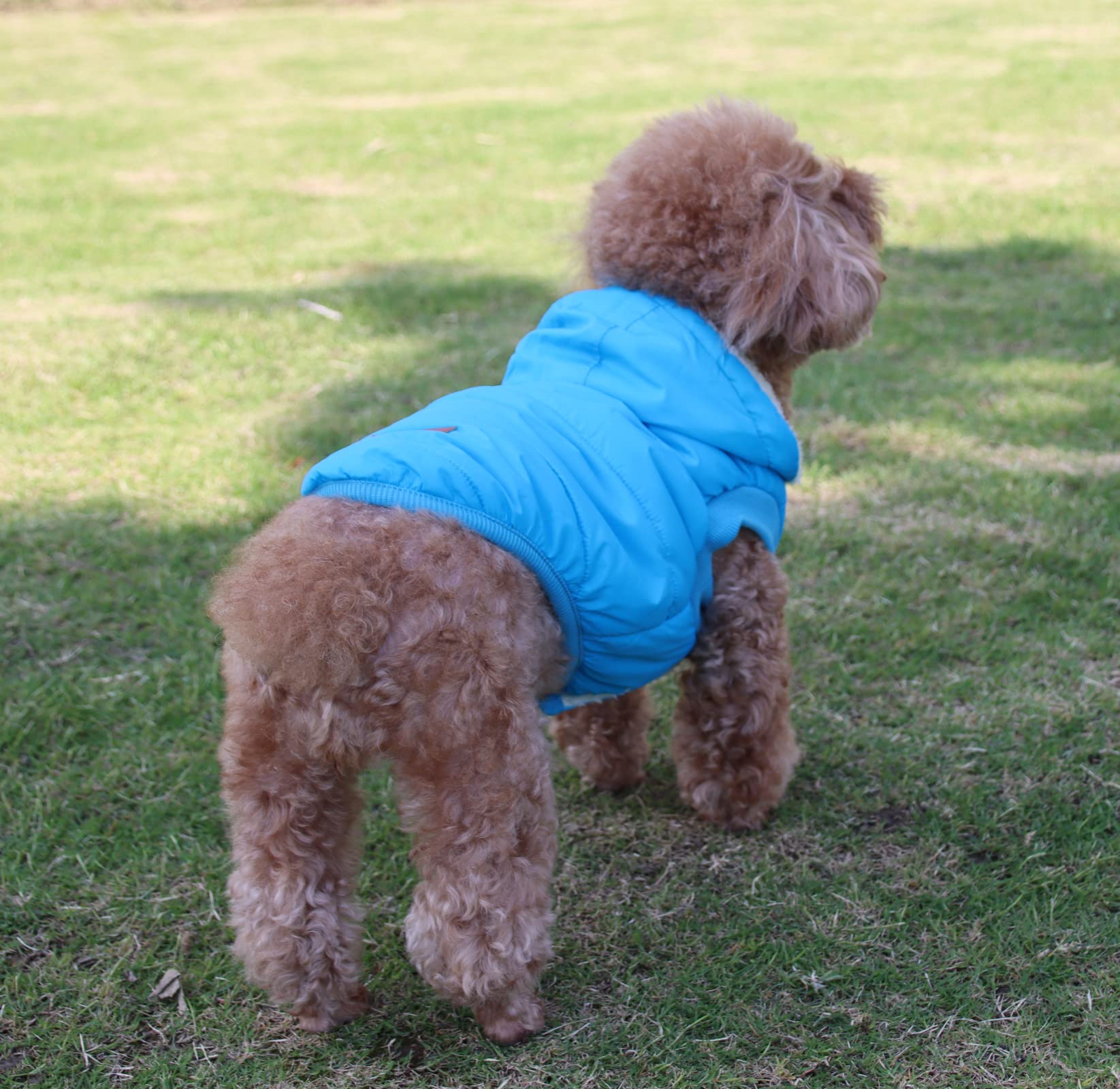 Vecomfy Fleece Lining Extra Warm Dog Hoodie In Winter For Large Dogs Jacket Pet Coats With Hooded,Light Blue Xxl