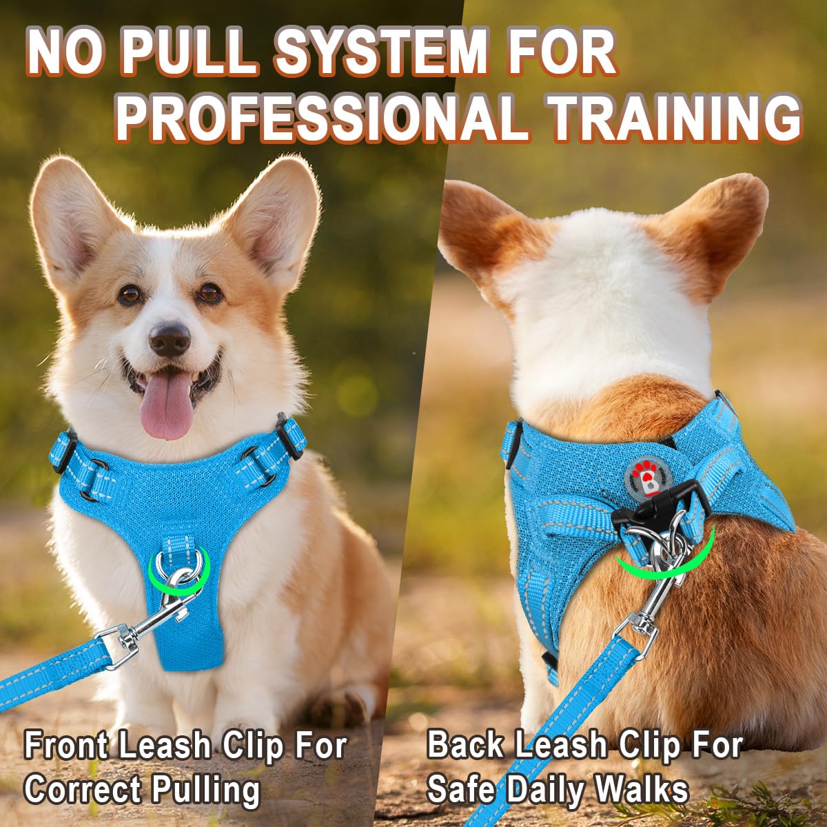 Barkbay Dog Harness, Reflective Adjustable Puppy No Pull Harness, Breathable Soft, Blue, Xxs