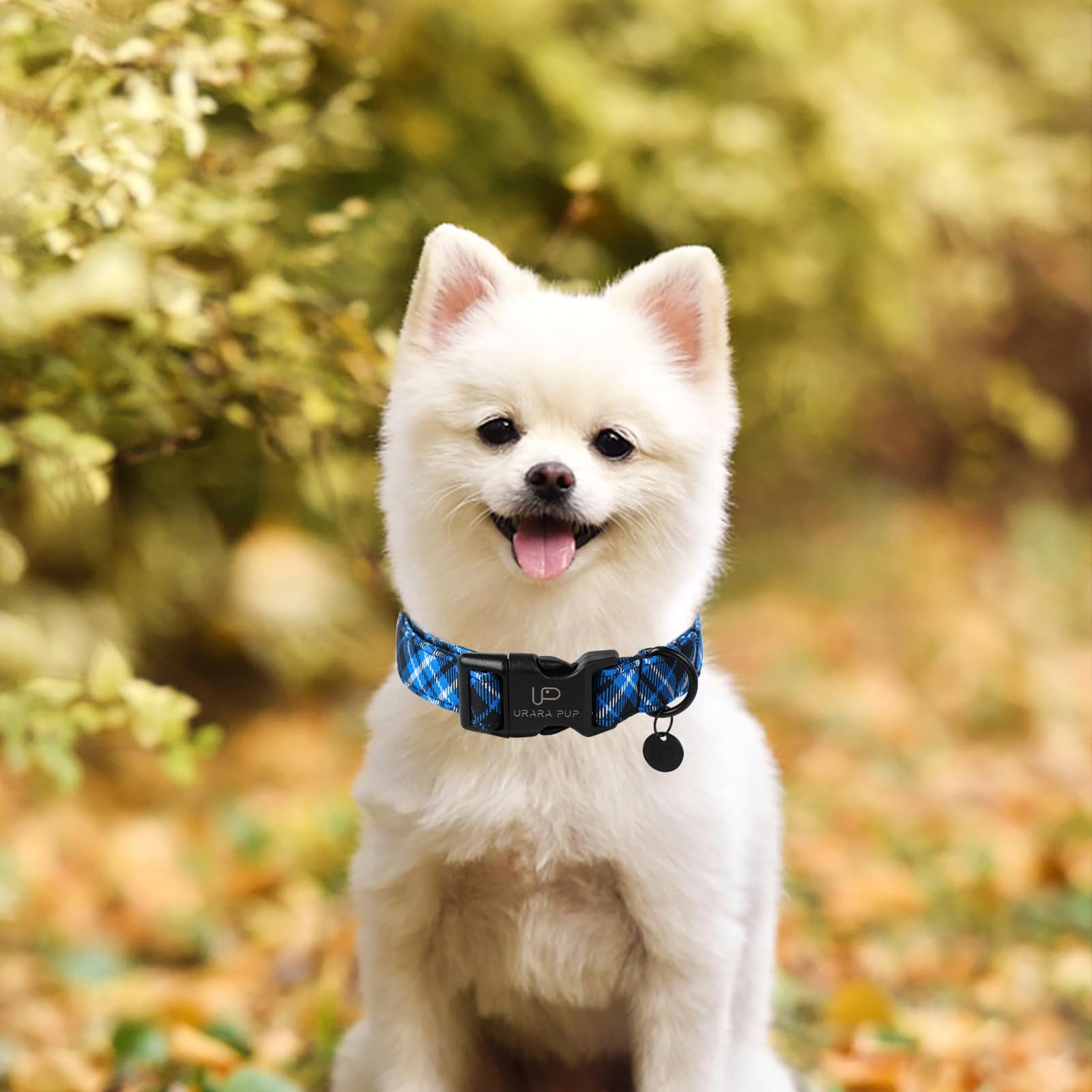 Up Urara Pup Autumn Cotton Dog Collar, Blue Plaid With Plastic Buckle, Adorable Pet Collar For Puppy, Cat Or Dog