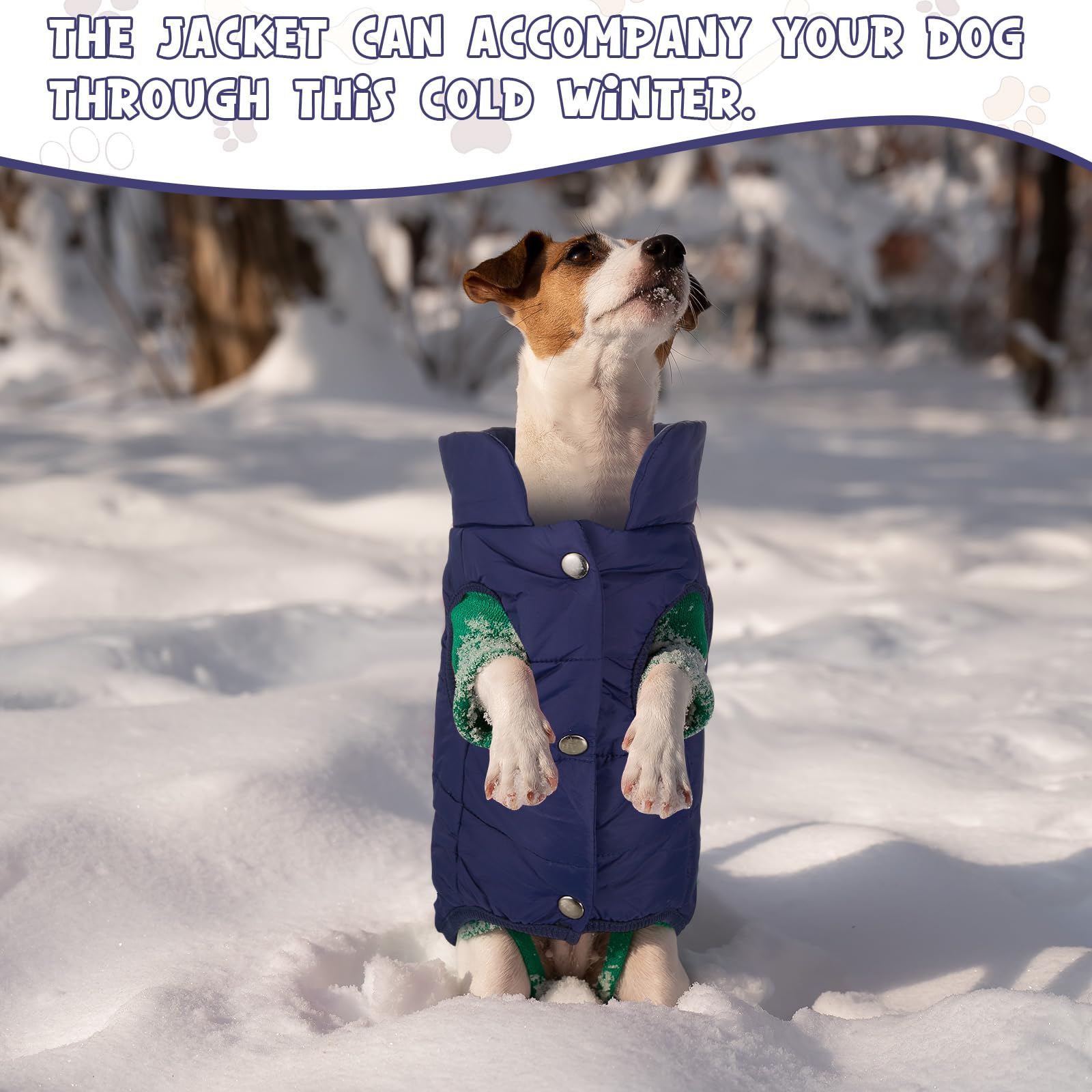 Syhood 2 Pieces Dog Jacket 2 Layers Fleece Lined Dog Jacket Warm Soft Windproof Small Pet Coat For Winter Cold Weather(Medium,Na