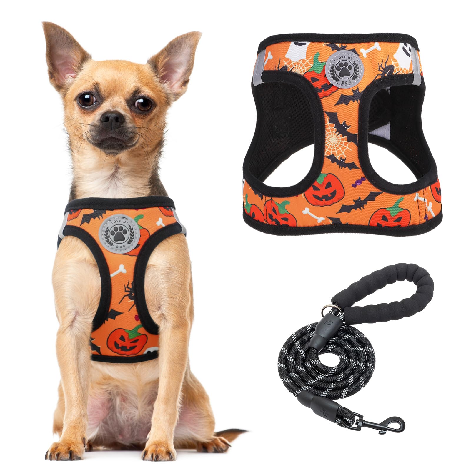BEAUTYZOO Step in Dog Harness and Leash Set,Floral Pattern Reflective Dog Harness No Pull No Choke Puppy Harness for Medium Dogs