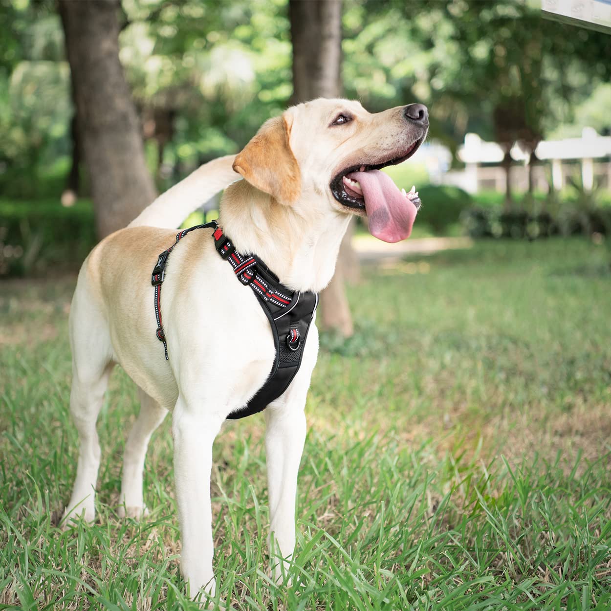 Poypet No Pull Dog Harness, [Release At Neck] Reflective Adjustable No Choke Pet Vest With Front & Back 2 Leash Attachments(Blac
