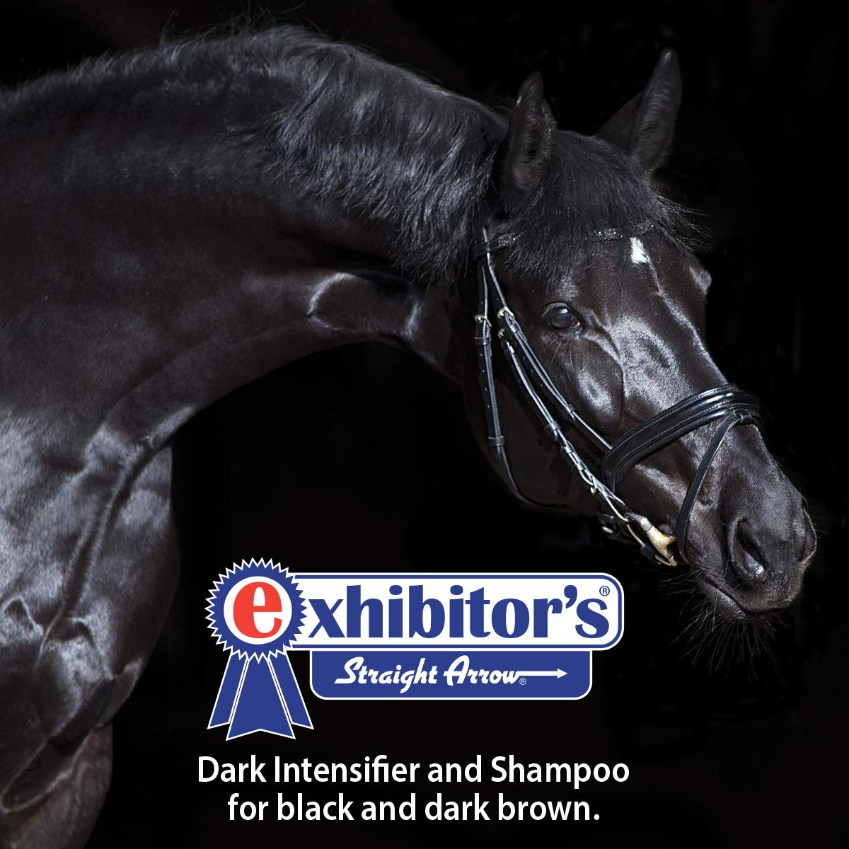 Exhibitor'S Quic Black Shampoo 16 Ounce Color Enhancing For Dark Coats (321266)