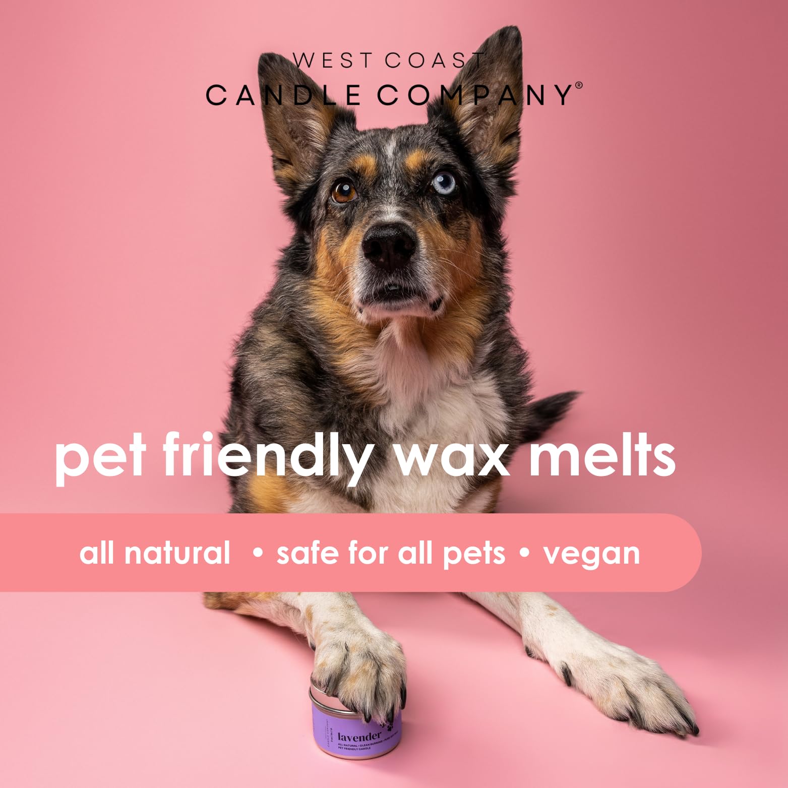 Pet Friendly Wax Melts | Pet Safe Wax Melts | All Natural Dog Safe Wax Melts | Non-Toxic Wax Melts | Pet Odor Eliminator | Pure