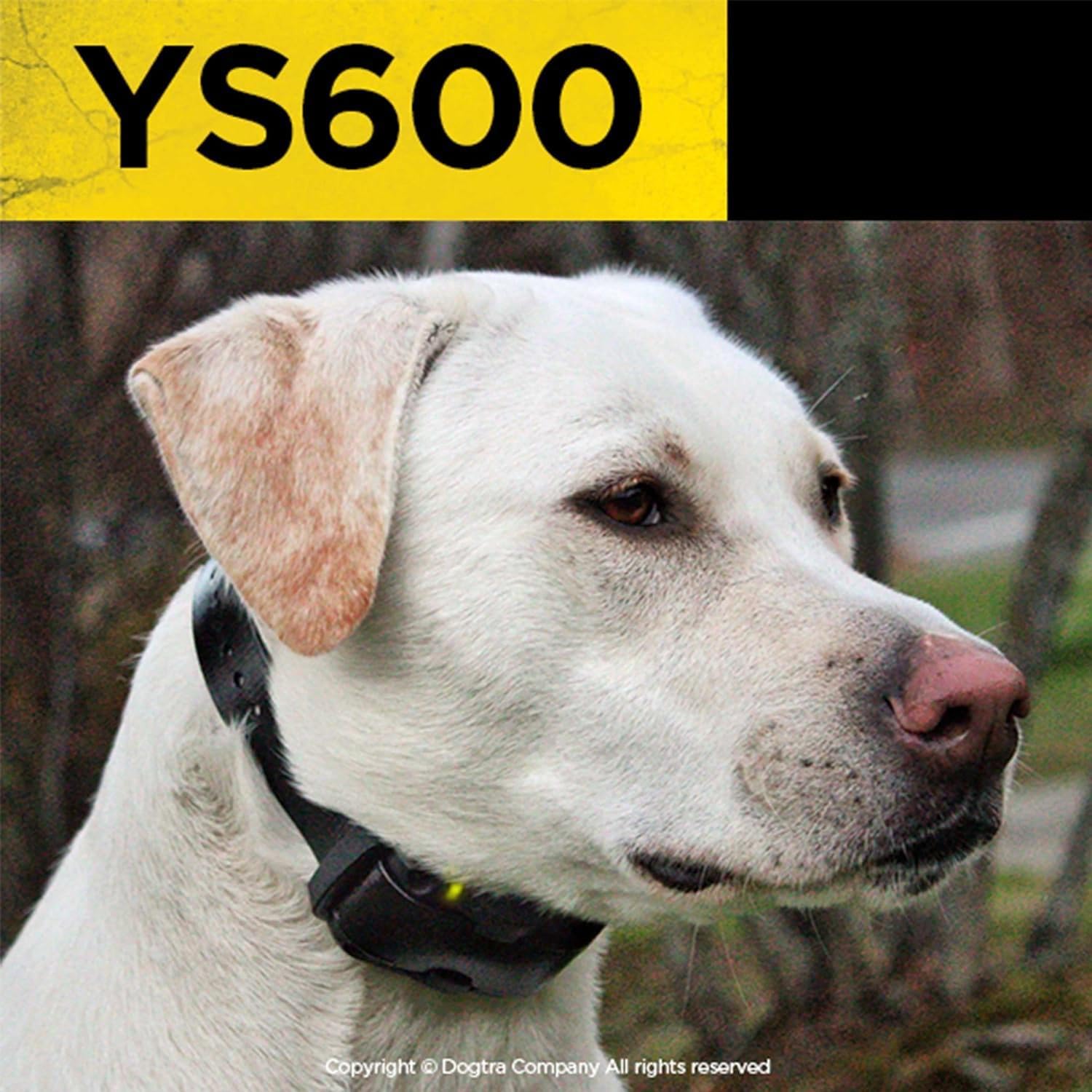 Dogtra YS600 Rechargeable Waterproof No Bark Collar - 1 Count, Plastic, YS600 Model, High-Output, YS600 NO BARK e-Collar