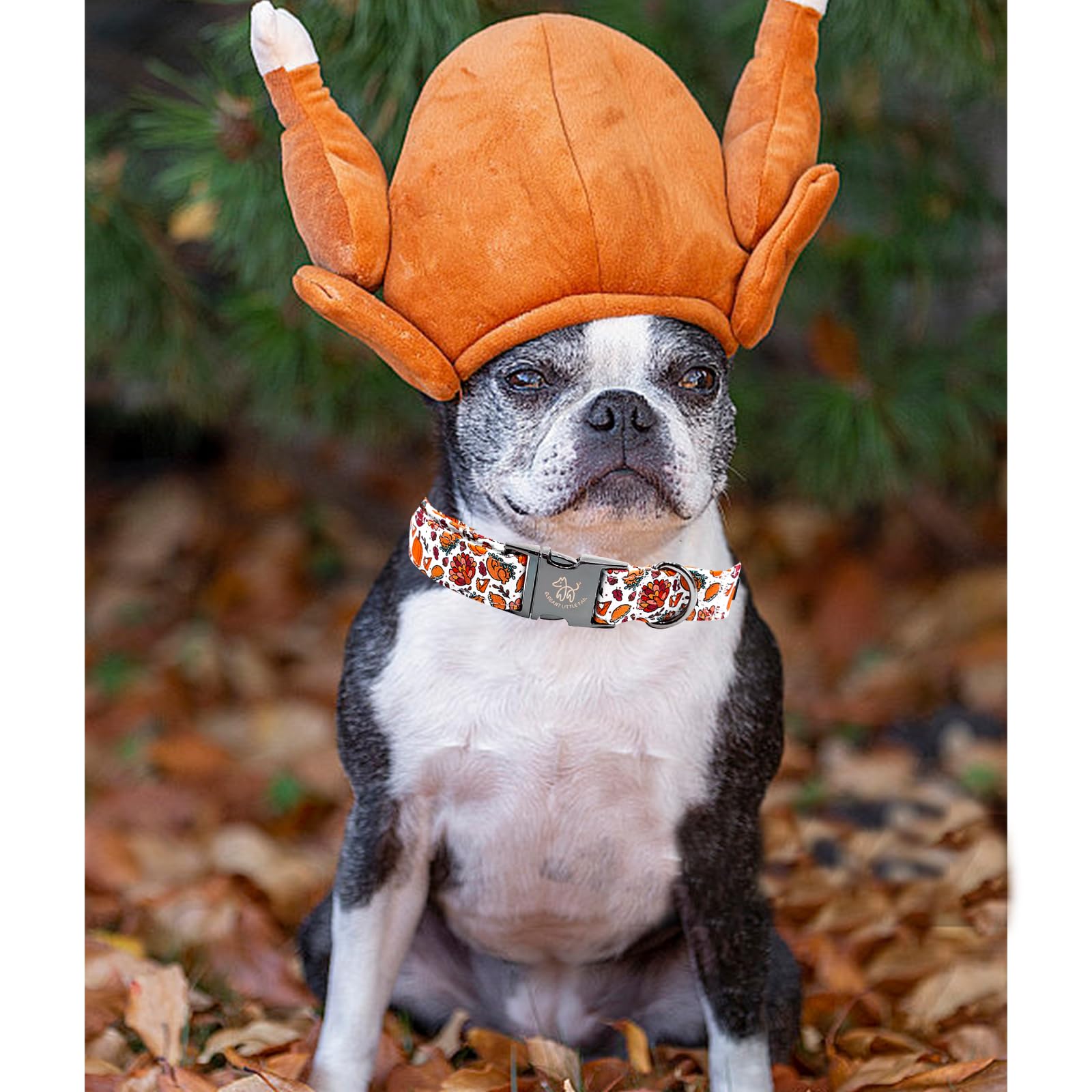 Elegant Little Tail Thanksgiving Turkey Pumpkin Pet Collar - Cotton With Metal Buckle Adjustable Dog Collar For Medium Dogs