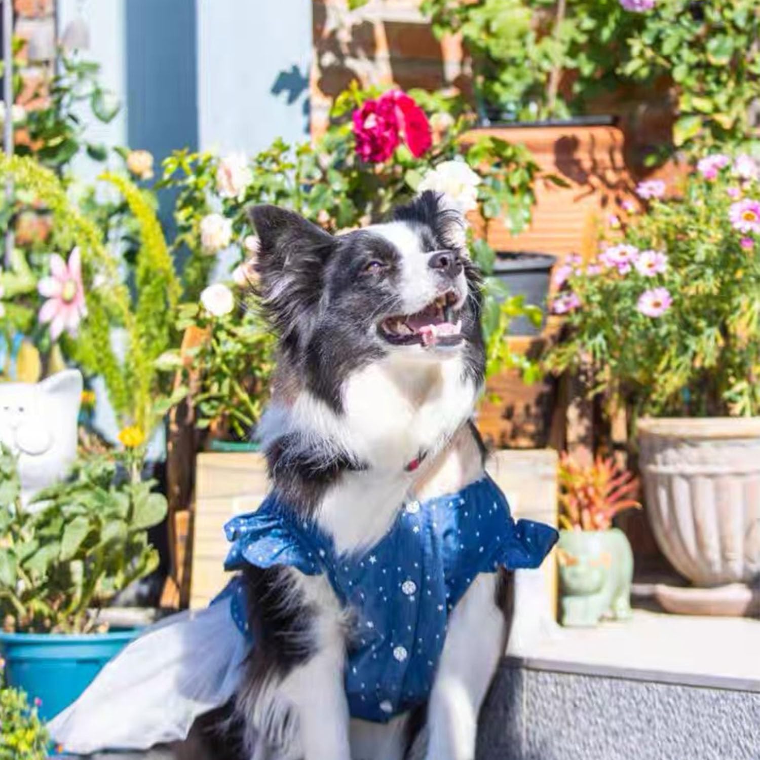 Polka Dot Big Large Dog Princess Dress Tutu Skirt Golden Retriever Pitbull Summer Dog Clothes Hoodie Costume (Xxl, Blue)
