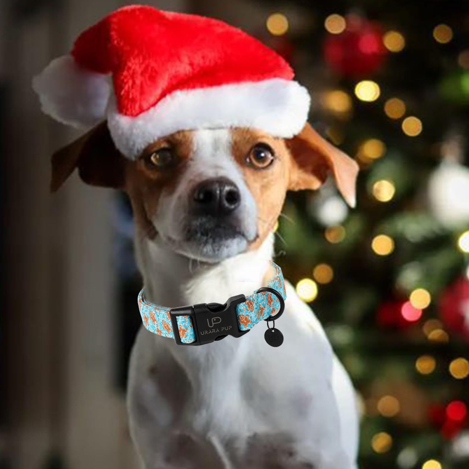 Up Urara Pup Christmas Dog Collar,Adjustable Gingerbread Pet Collar,Chriatmas Puppy Collar For Small Medium Large Dogs,M