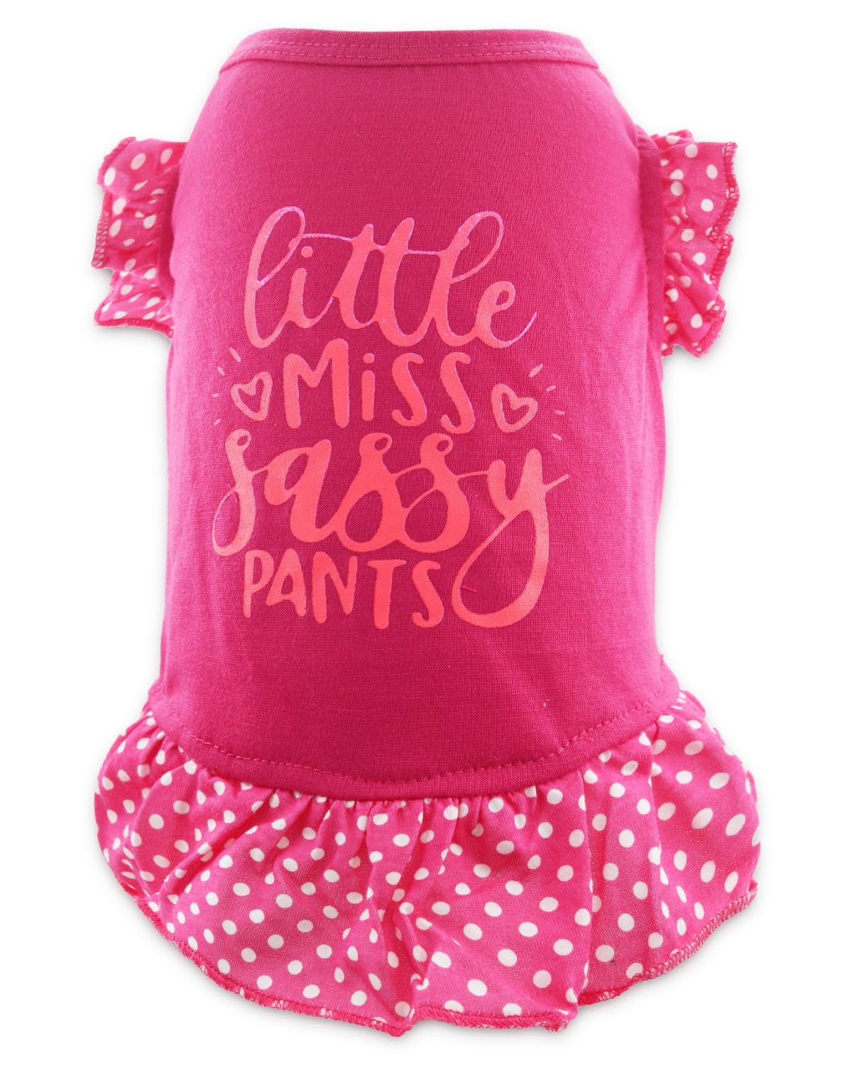 Cute Dresses For Girl Dogs Small Dog Dress Cat Female Summer Clothes Girls With Little Miss Sassy Pants Print, Xs