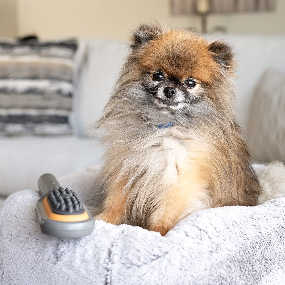 PAW WAVE Therapeutic Pet Massager for Dogs & Cats - Vibration Brush, Grey, Plastic, Relieves Tension & Improves Circulation