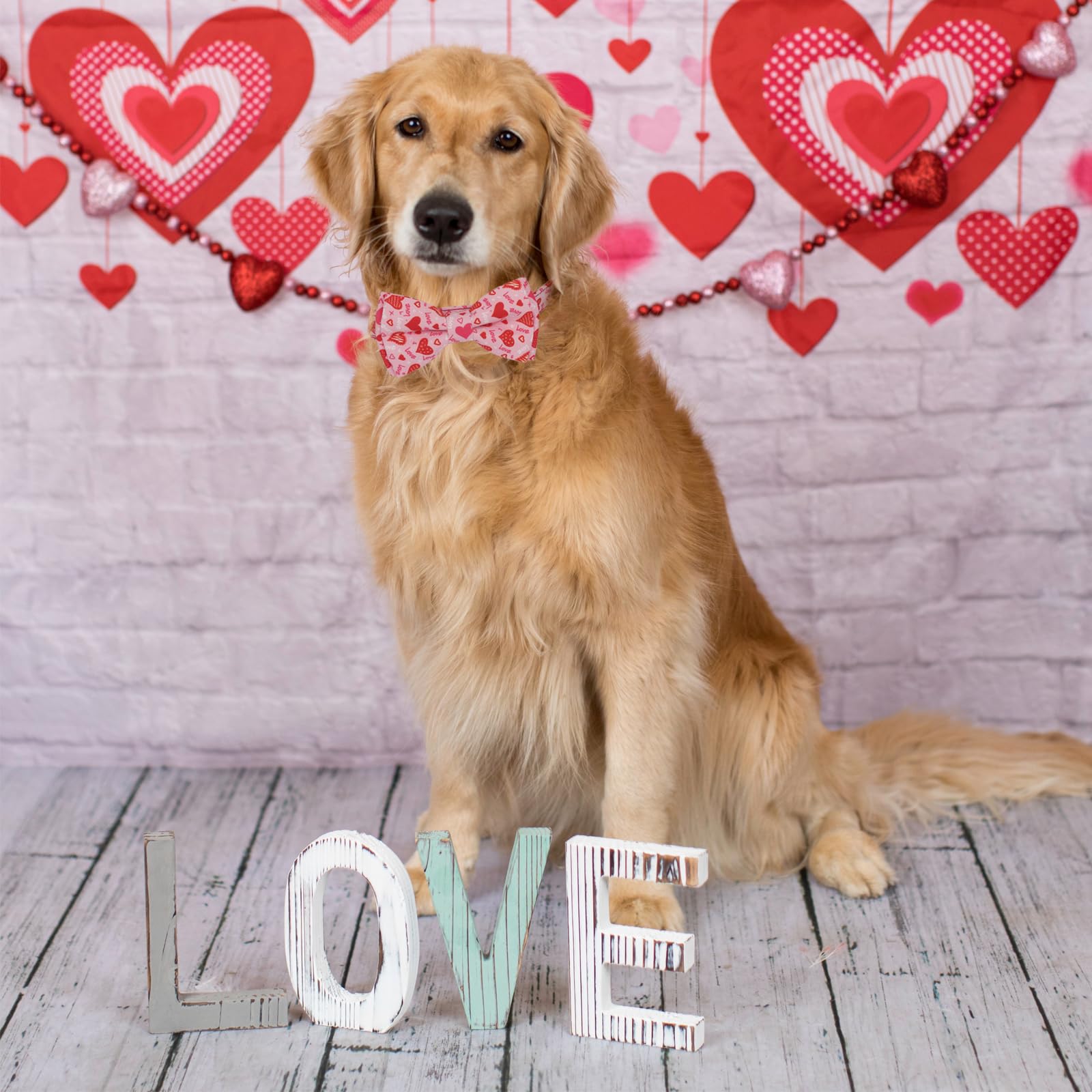 Ptdecor Valentine Dog Collar With Bowtie Adjustable Pink Love Heart Pet Collars Valentine Collars For Large Dogs Pets (Large)