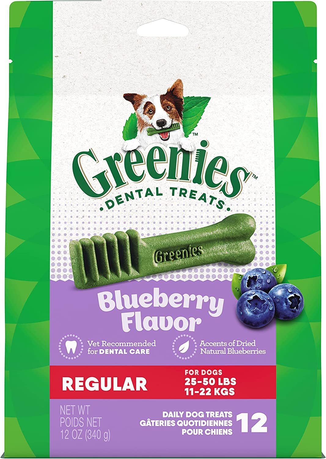 Greenies Bursting Blueberry Dog Dental Treat Regular Size 12 Count  Pack of 2