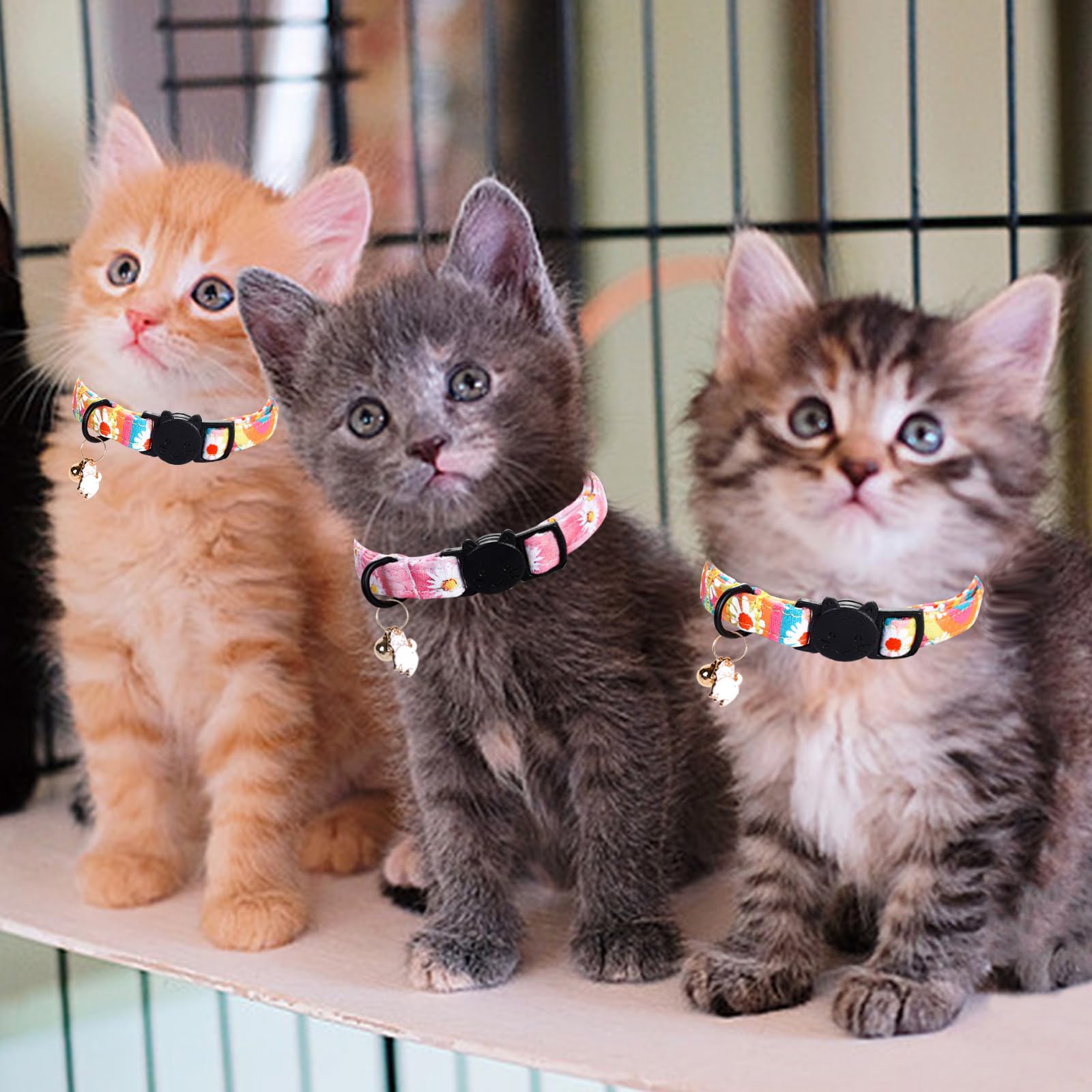 Lionheart Glory 2 Pack Cat Collar Breakaway With Bell & Pendant Pink Flowers Kitten Collar Soft Adjustable Safety Cat Collars Fo