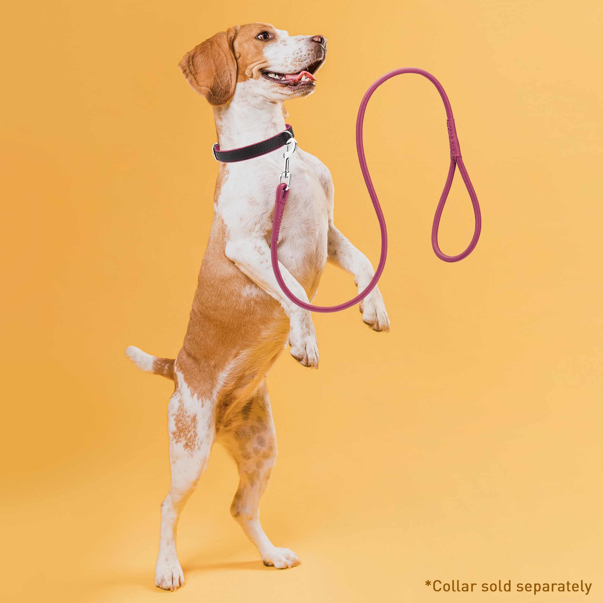 Dogline Soft And Padded Rolled Round Leather Leash For Dogs W1/4' - L72, Hot Pink