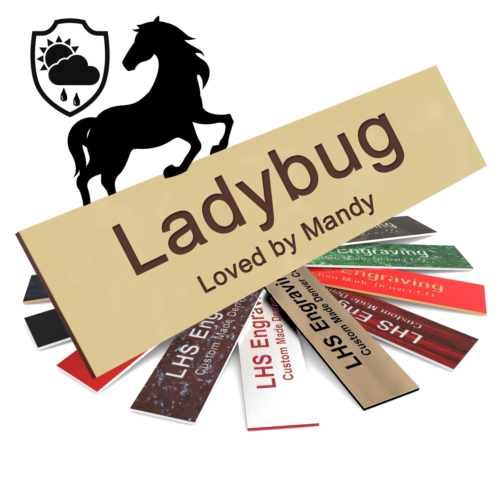 Lhs | Personalized Horse Stall Name Plates, 2X8 Horse Stall Signs With Adhesive, All Weather Uv Protected, Ivory Plastic With Br
