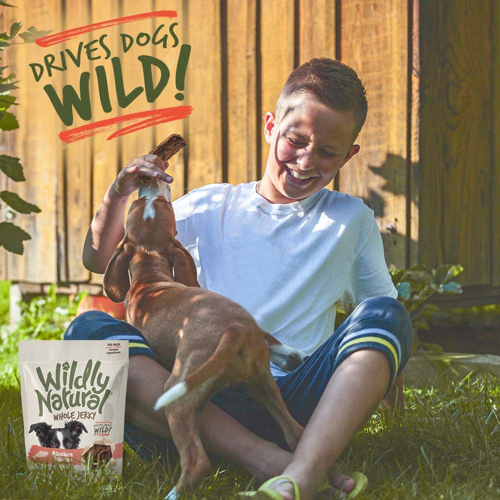 Wildly Natural Whole Jerky Dog Treats | Limited Ingredient, Made in USA Jerky | Grain Free & Nothing Artificial | Alaskan Salmon