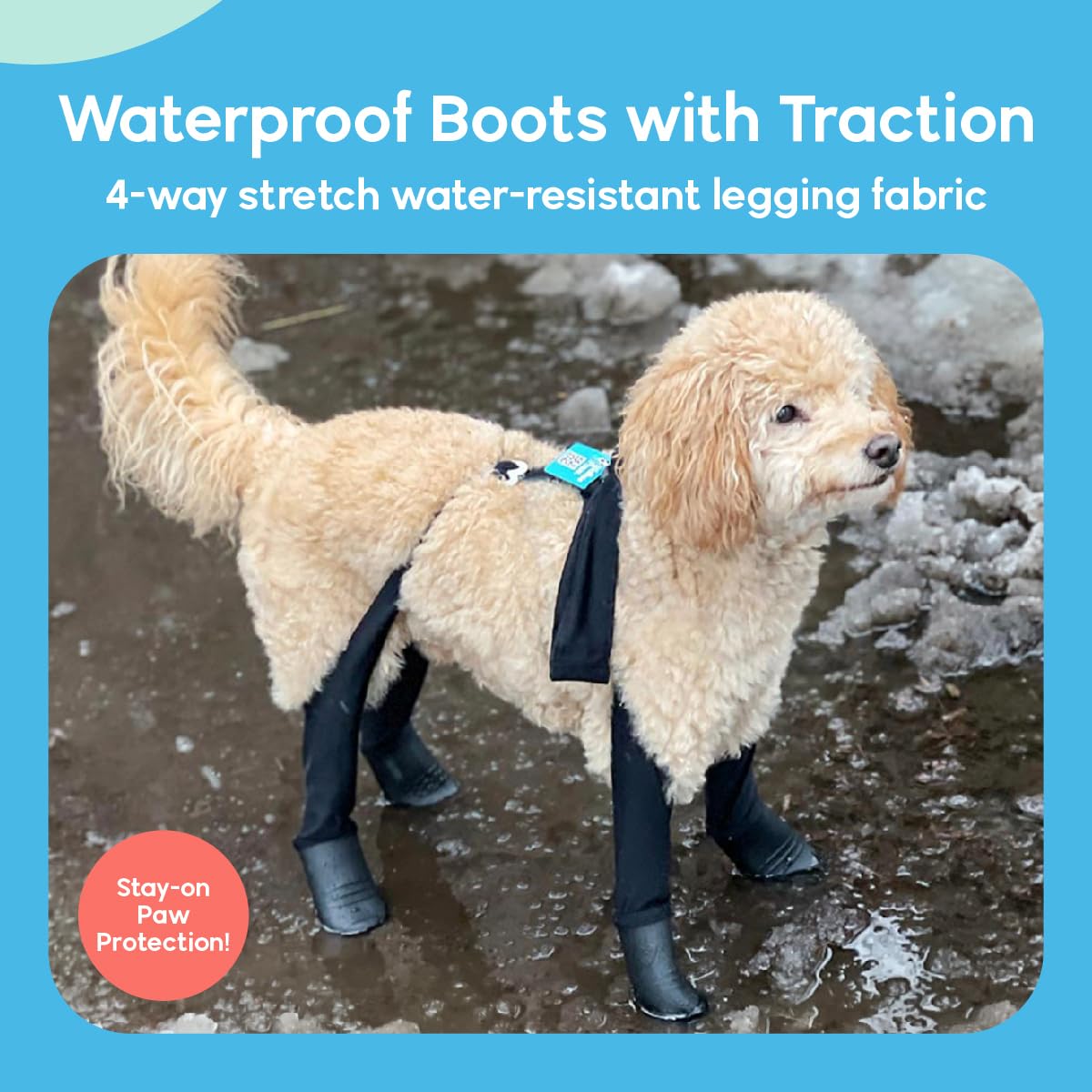 Walkee Paws Deluxe Easy-On, Dog Suspender Boot Leggings, Waterproof Booties For Small Dogs And Medium Sized Dogs, Protect Paws From Rain, Snow, Slush, And Snow Melt (Black, Xs Short)