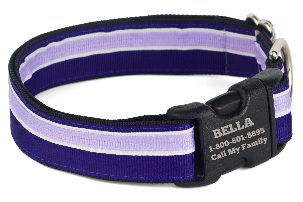 If It Barks Personalized 1' Striped Dog Collar - Engraved Name - Custom Size, Grape Crush