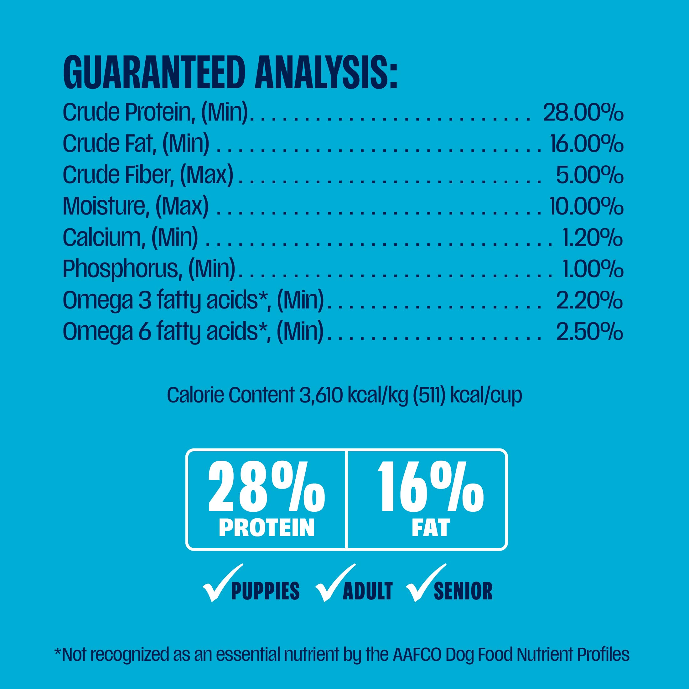 Muenster Ancient Grains Ocean Fish Dry Dog Food, 22lb - Gluten-Free, High Protein, Digestive Support