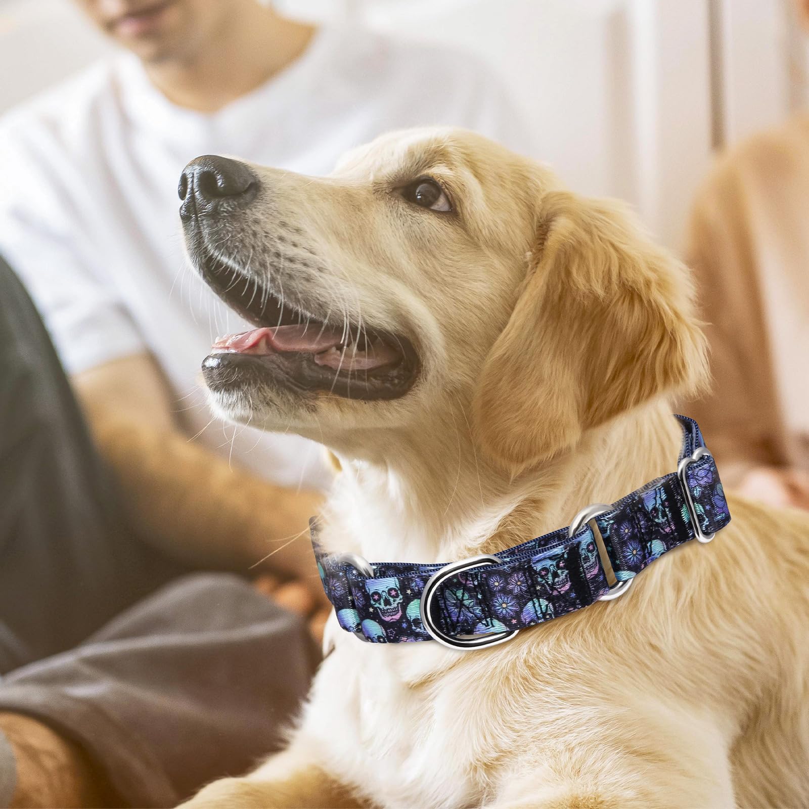Martingale Collar For Dogs, Skull Dog Collar For Large Medium Small Dogs With Quick-Release Buckle, Adjustable Boy And Girl Dog