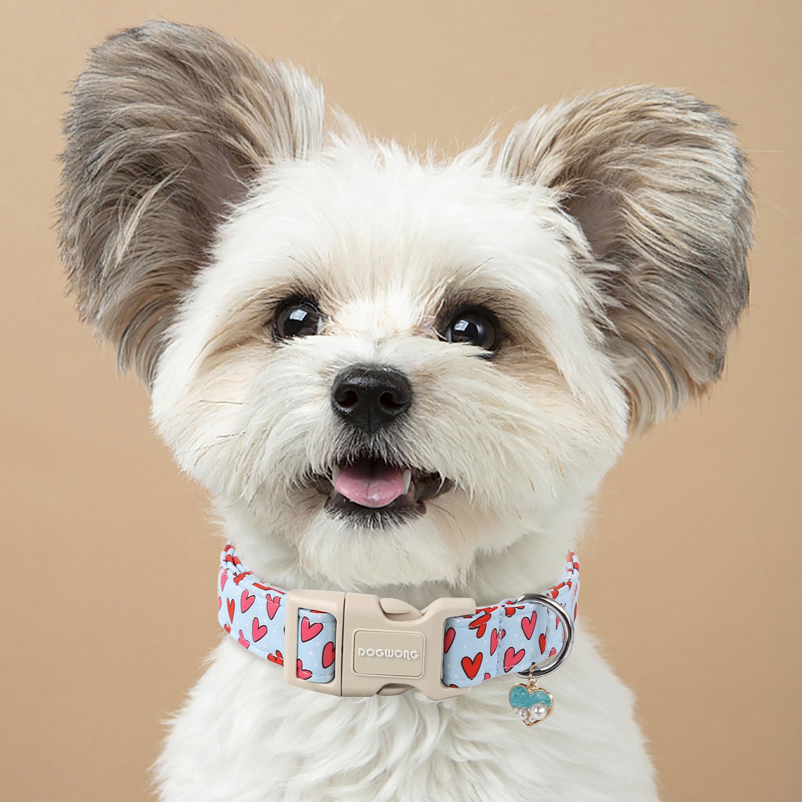 Dogwong Valentine Dog Collar- Cute Blue Heart Dog Collars Adjustable Designer Valentines Day Puppy Heart Dog Collar For Small Me