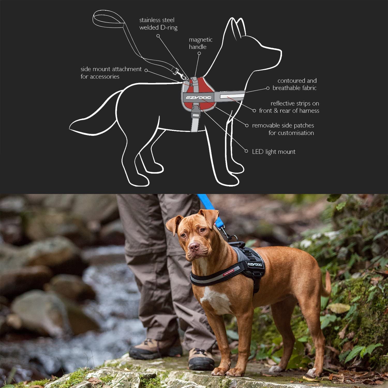 EzyDog Convert Trail-Ready Outdoor Adjustable Dog Harness - Perfect for Hiking, Walking, and Doubles as a Service Dog Vest - Sup