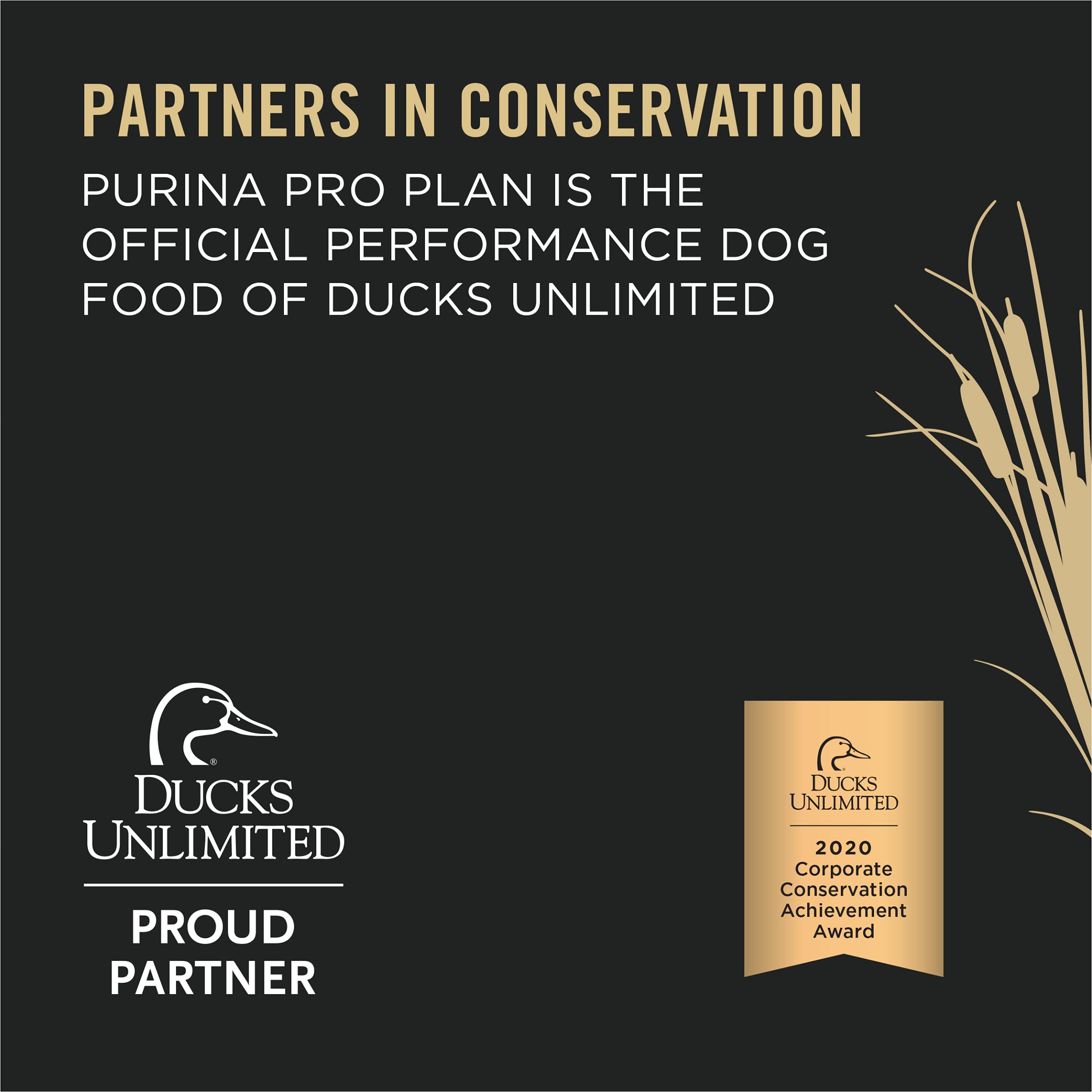 Purina Pro Plan Sport Performance 30/20 Beef & Bison Formula Dry Dog Food - 6 lb. Bag