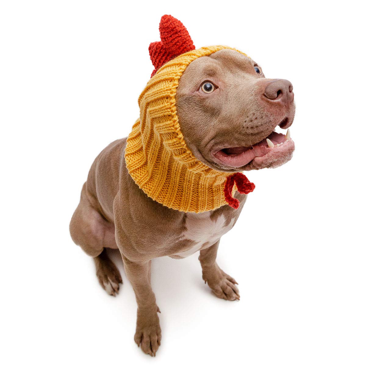 Zoo Snoods Rooster Chicken Costume for Dogs, Medium - Warm No Flap Ear Wrap Hood for Pets, Dog Outfit for Winters, Halloween, Ch