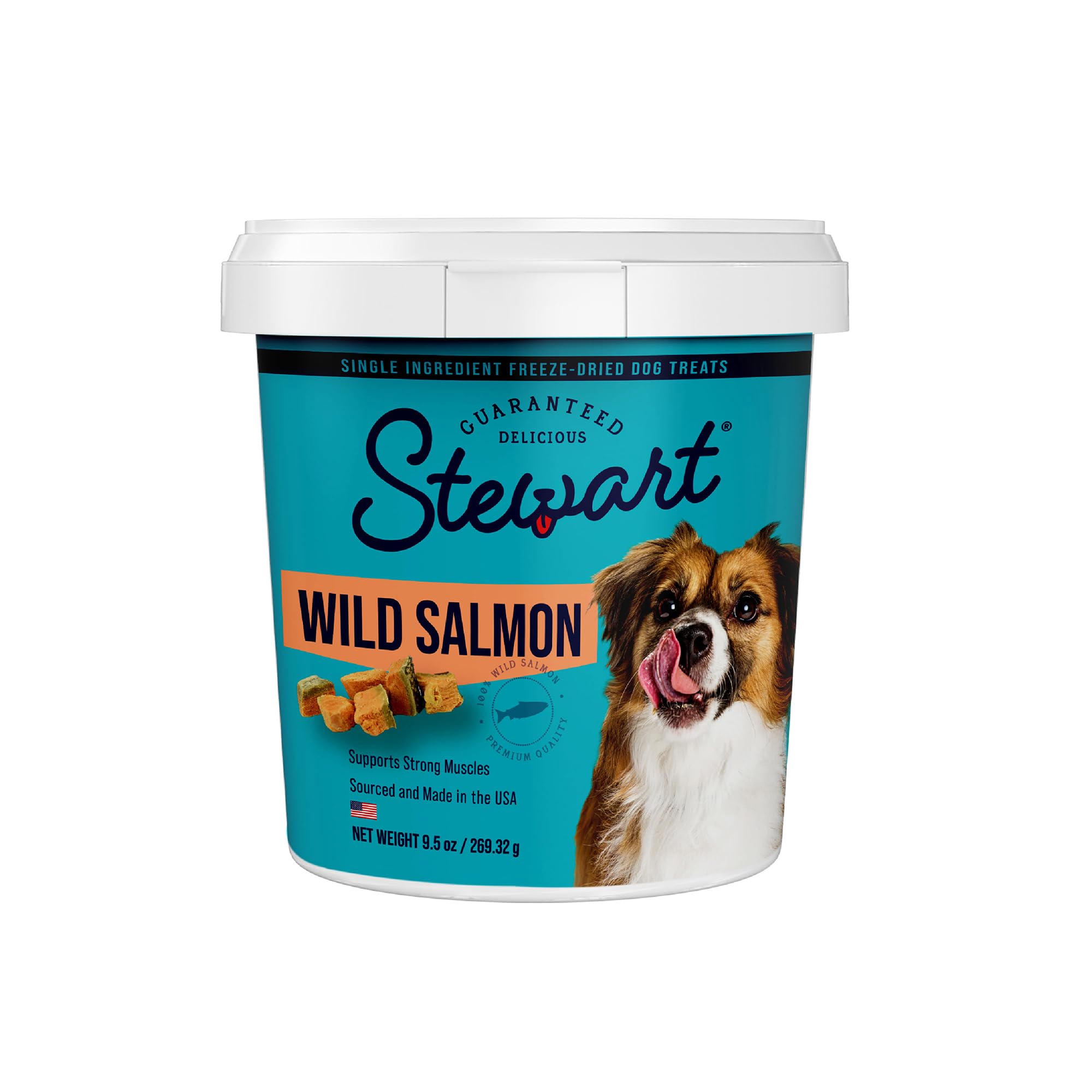 Stewart Freeze Dried Dog Treats, Wild Salmon, Grain Free & Gluten Free, 9.5 Ounce Resealable Tub, Single Ingredient, Made in USA