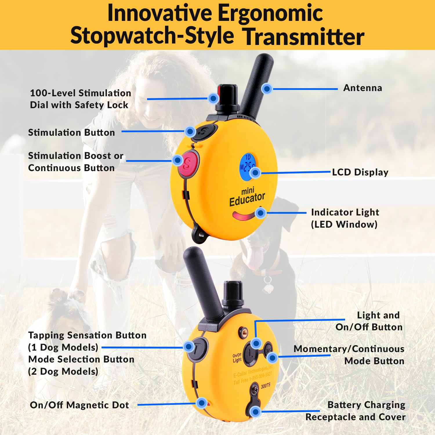 Educator 1/2 Mile Dog Training Collar with Two Remote Transmitters, Safe Humane Vibration, Tone Stimulation, Waterproof, Odorpro