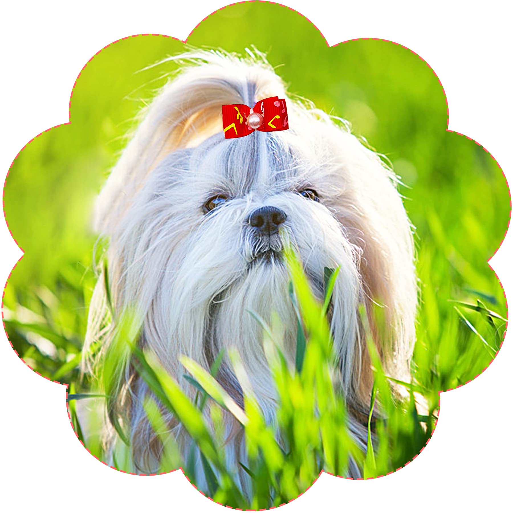 Pet Show Mixed Styles Pet Cat Puppy Topknot Small Dog Hair Bows With Rubber Bands Grooming Accessories Red Pack Of 20