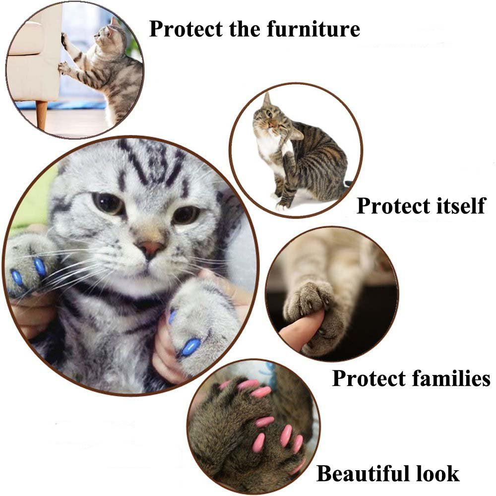 Victhy 100Pcs Cat Nail Caps, Cat Claw Caps Covers With Glue And Applicators Extra Small/Kitten 5 Colors, 20 Pcs/Color