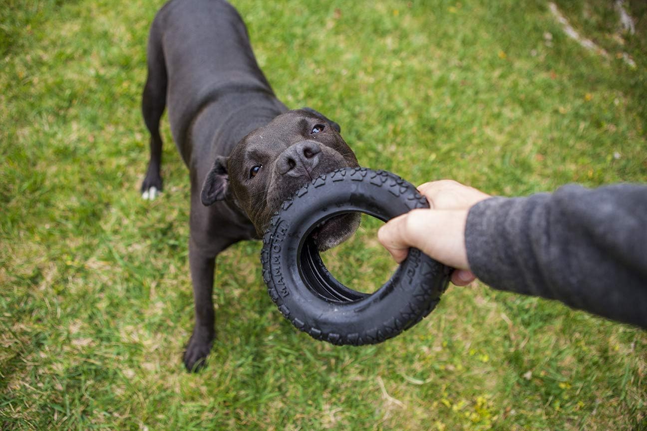 Mammoth Tirebiter Ii Dog Toy 6' W - Pack Of 2