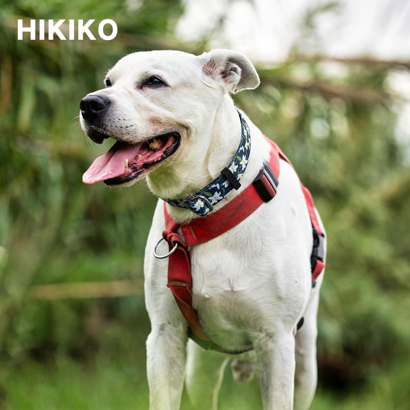 Hikiko Martingale Collar With No Buckle Cute Girl Female Floral Dog Collars For Medium Dogs,Lily,M