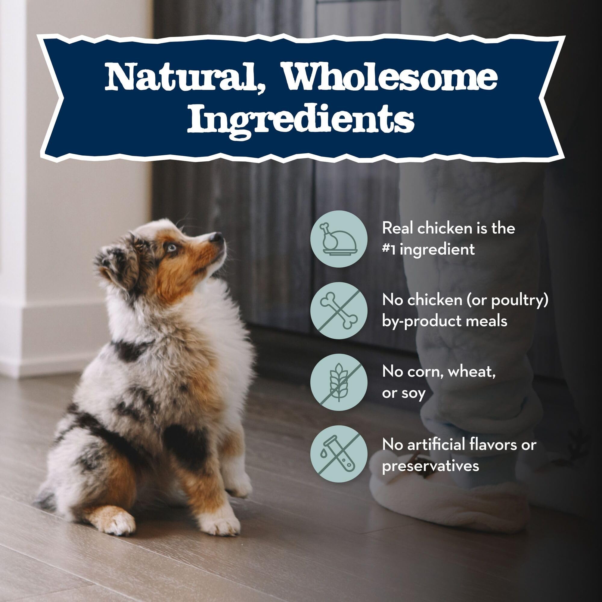 Blue Buffalo Baby Blue Natural Dry Food for Puppies, Healthy Growth Formula with DHA, High-Protein Savory Chicken Recipe, 20-lb.