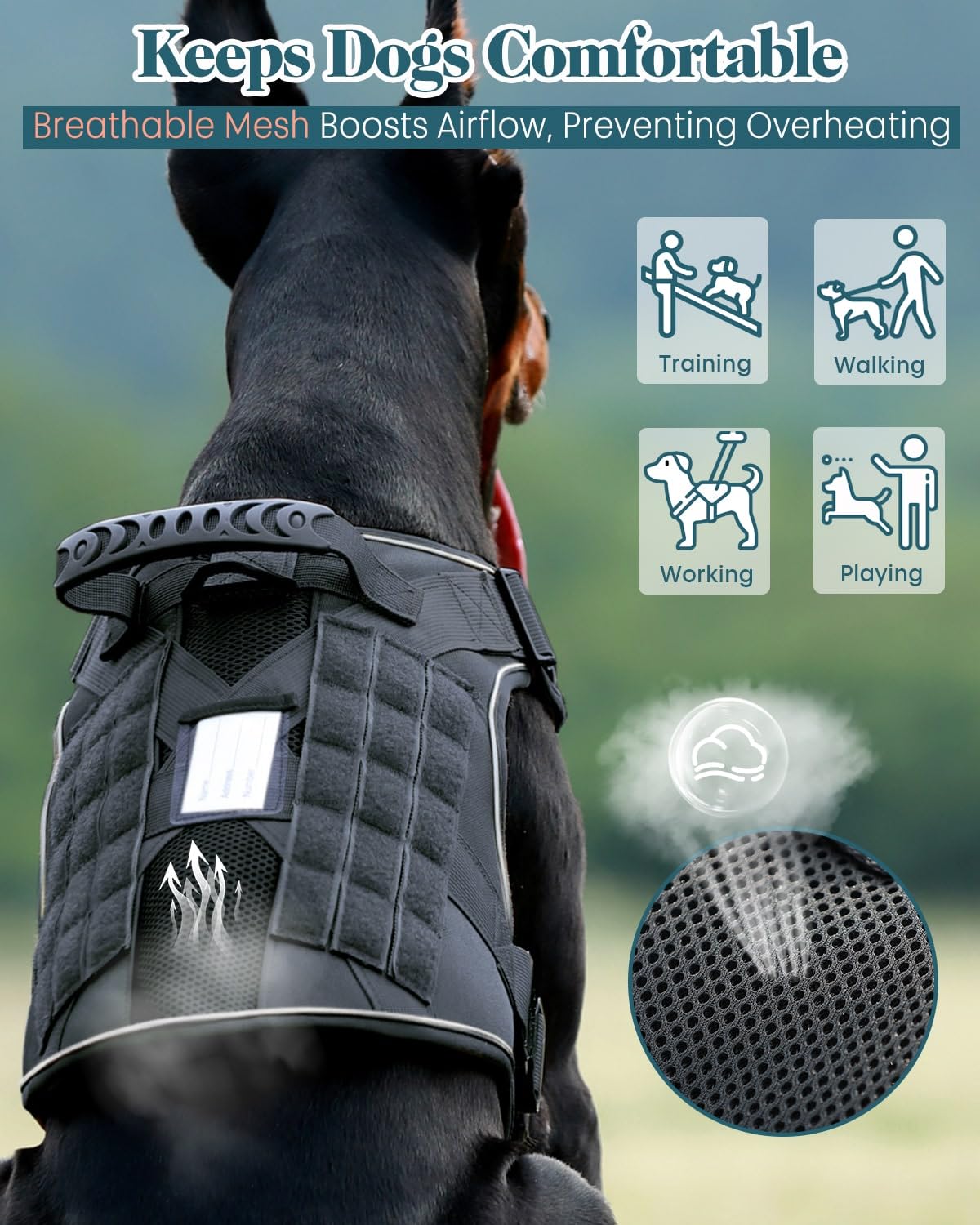 Reflective Black Service Dog In Training Vest Harness For Medium Dogs, Adjustable Heavy Duty Padded Dog Harness, With Front Clip