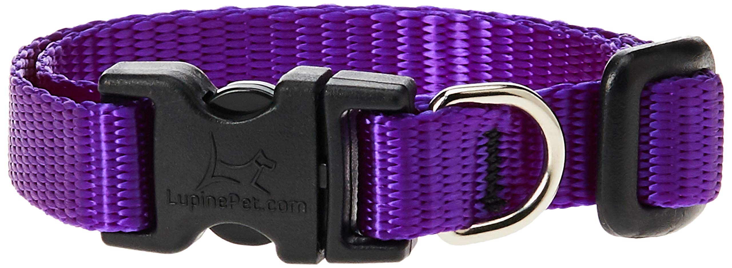 LupinePet Basics 1/2'' Purple 8-12'' Adjustable Collar for Small Dogs