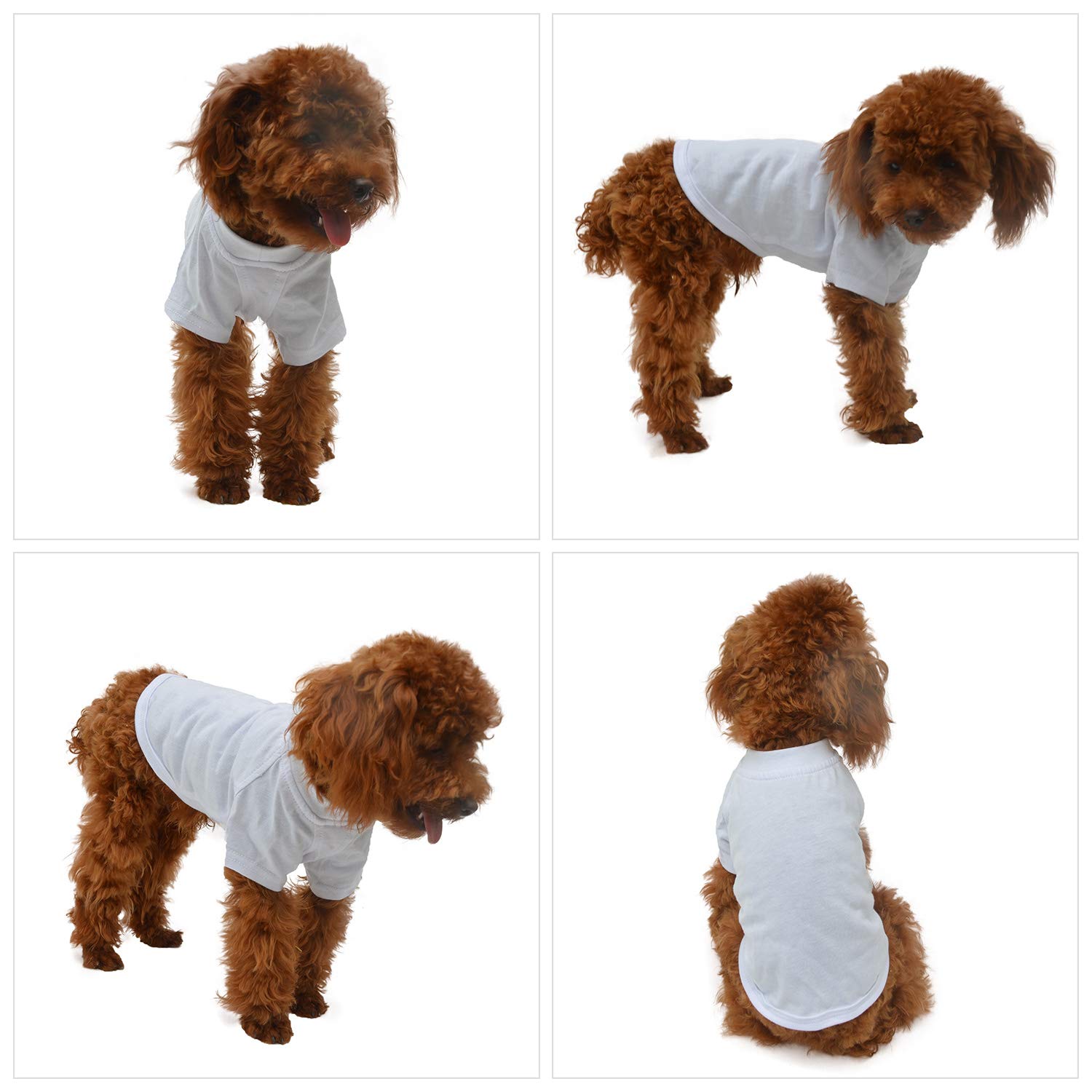 Lovelonglong 2019 Pet Clothing Dog Costumes Basic Blank T-Shirt Tee Shirts For Small Dogs White M