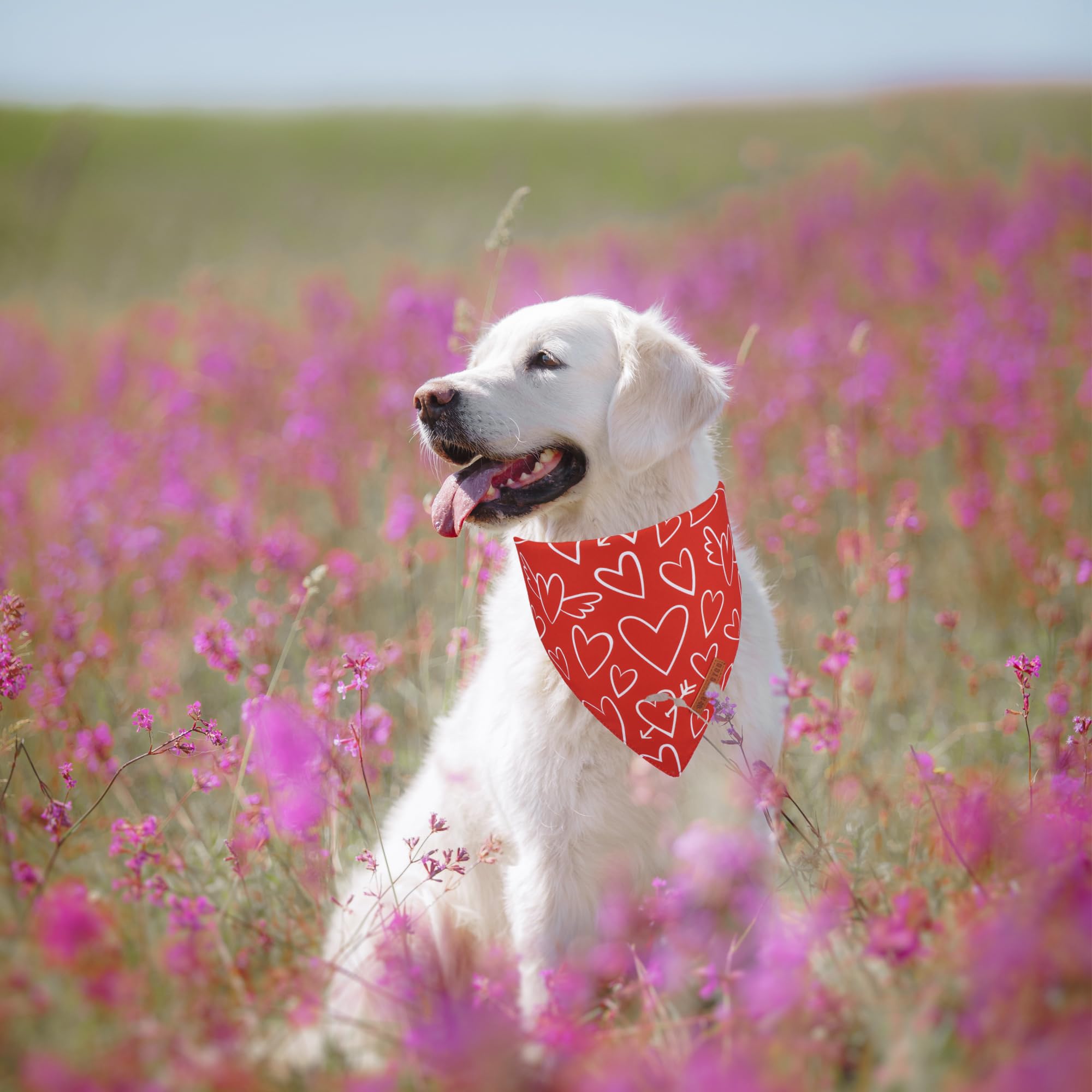 ADOGGYGO Valentine Dog Bandanas, Red Pink Heart Pet Scarf, Multi Size Offered, White Red Valentine Bandana for Large and Extra L