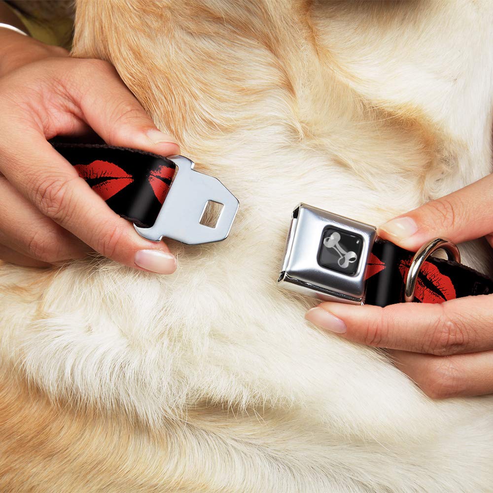 Buckle-Down Seatbelt Buckle Dog Collar - Kisses - 1 Wide - Fits 11-17 Neck - Medium