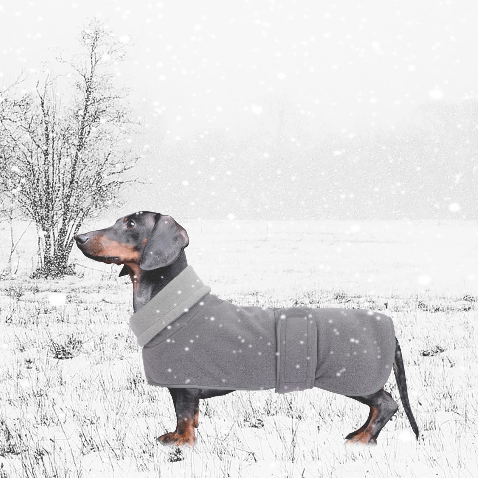 Dog Jacket, Dog Coat Perfect For Dachshunds, Dog Winter Coat With Padded Fleece Lining And High Collar, Dog Snowsuit With Adjustable Bands-Gray-L
