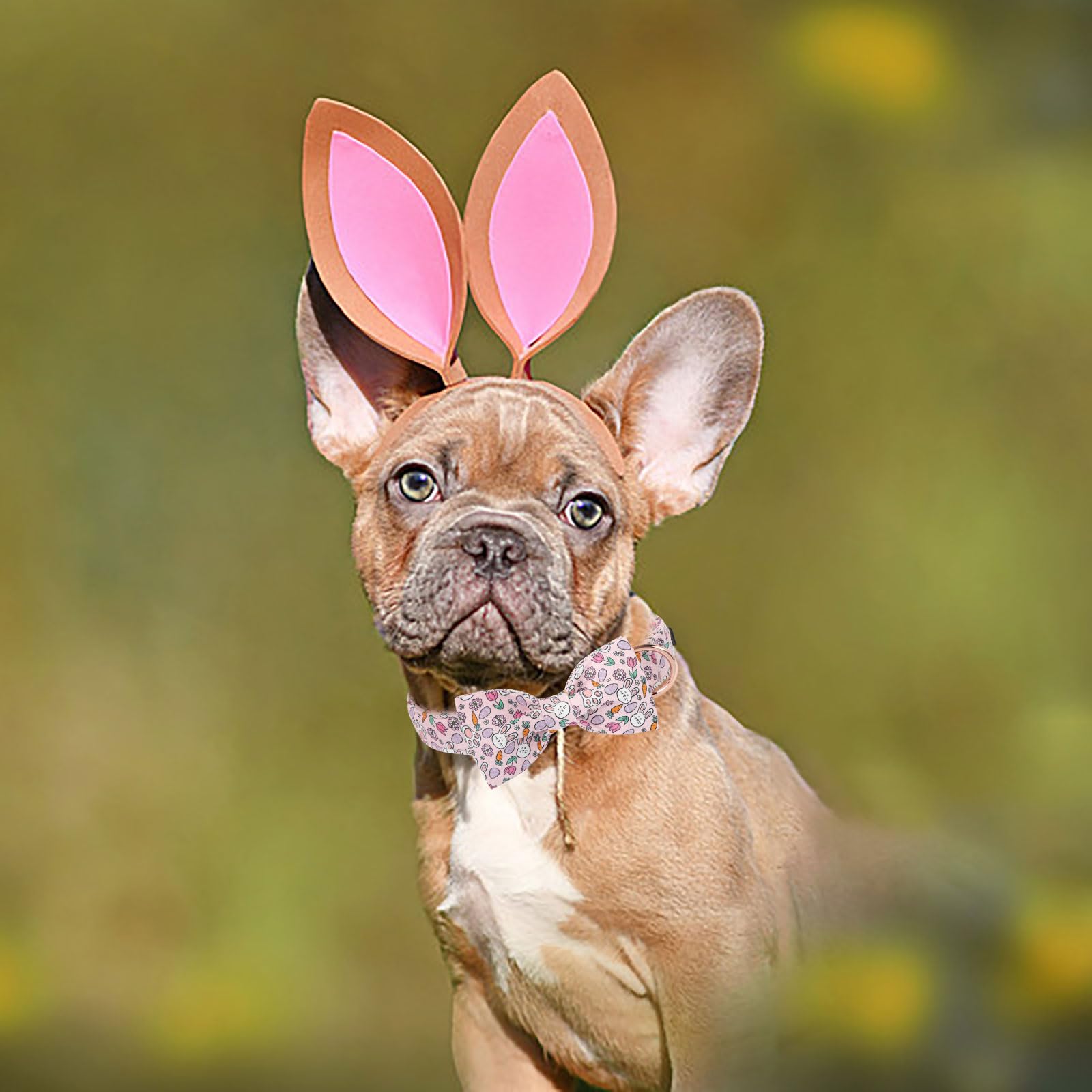 Lionet Paws Easter Pink Dog Collar, Rabbit Eggs Dog Collar For Large Dogs, Adjustable Cotton Tulips Pet Collars For Large Dogs
