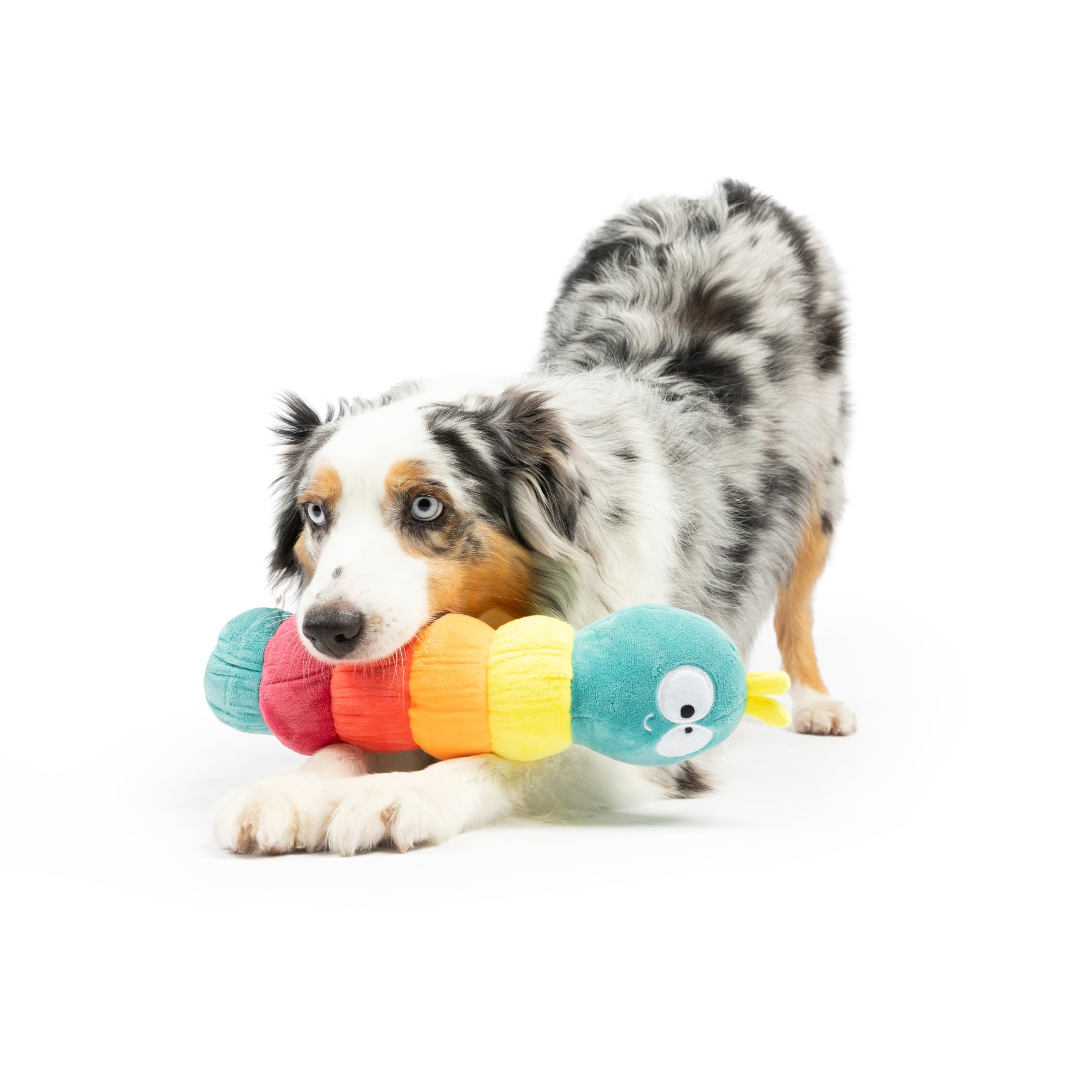 Huxley & Kent For Dogs - Fetchies Caterpillar (Small) - Power Plush Pup Toy With Squeaker - Gift For Pets - Fun, Durable - H&K S